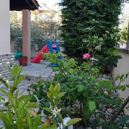 Adam's * PalaiónTsiflíkion